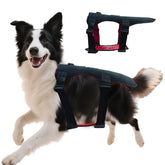 Sisu LumiPaw – Rechargeable Red & Infrared Therapy Pad for Dogs