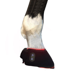 Sisu EquiFlex Pad – 660nm & 850nm Red Light Therapy for Horses