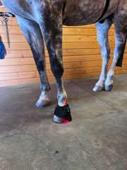 Sisu EquiFlex Pad – 660nm & 850nm Red Light Therapy for Horses
