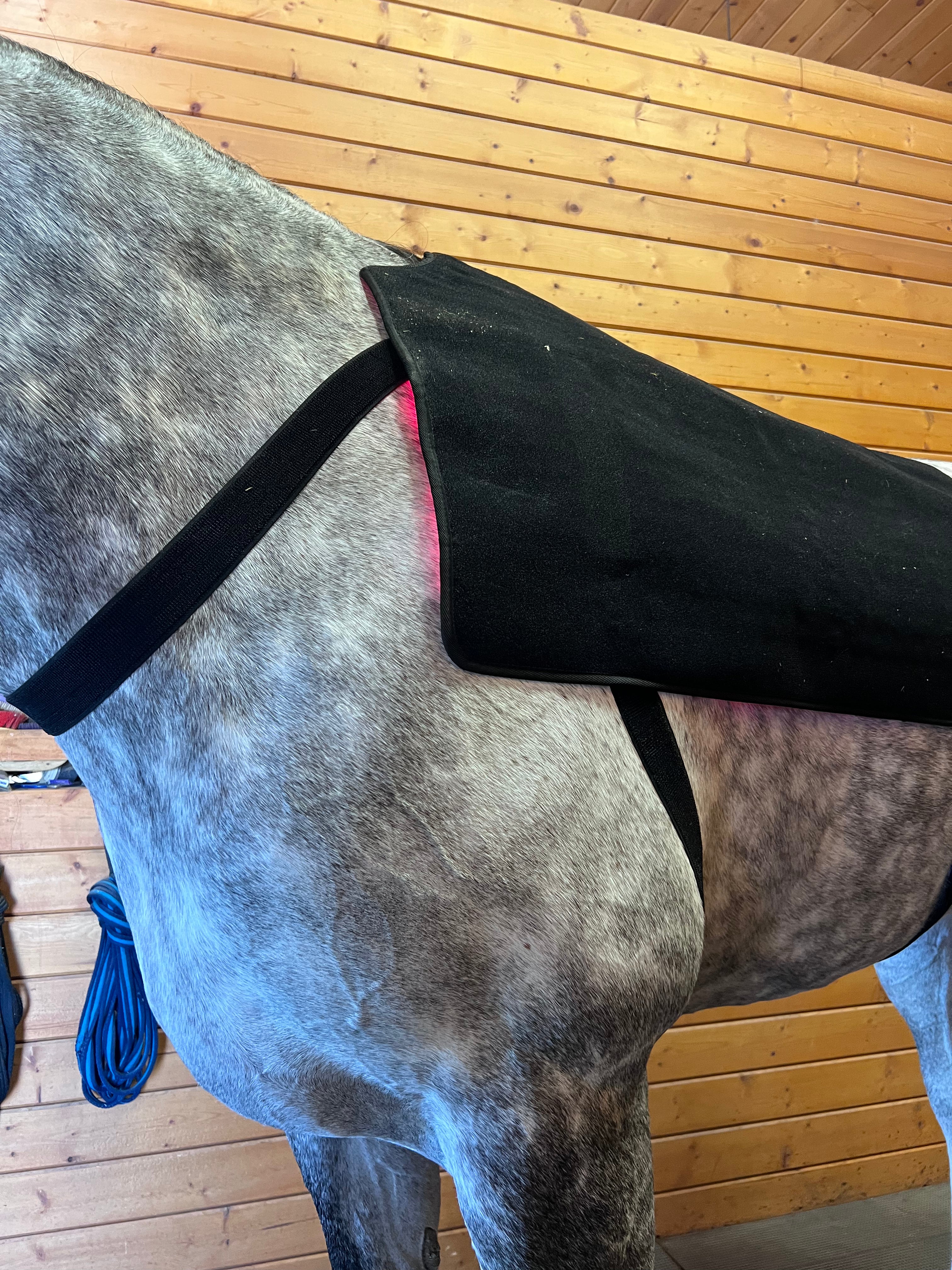 Sisu EquiLight Pro – Red Light Therapy Blanket for Horses