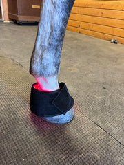 Sisu EquiFlex Pad – 660nm & 850nm Red Light Therapy for Horses
