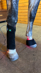 Sisu EquiBoot Pro – 15W Red & Infrared Multi-LED Therapy Boots for Horse Leg Pain Relief